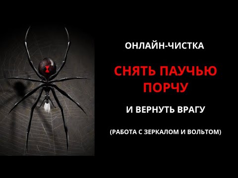 Видео: 🔥СНИМАЕМ ПАУЧЬЮ ПОРЧУ И ВОЗВРАЩАЕМ ЕЁ ВРАГУ  l ОНЛАЙН-РИТУАЛ ЧИСТКА🔥