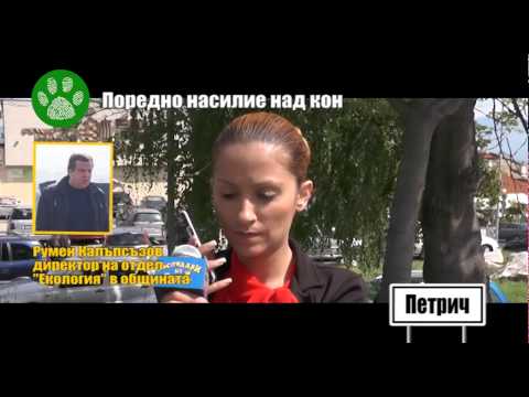 Видео: РОМИ ИЗМЪЧВАТ КОН В ПЕТРИЧ