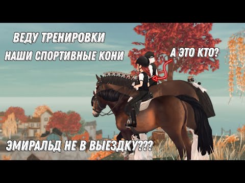 Видео: RRP Vlog|Star stable|Частники и спортивные лошади|