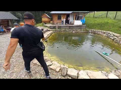 Видео: Ловля форелі. Рибалка  в Карпатах.
