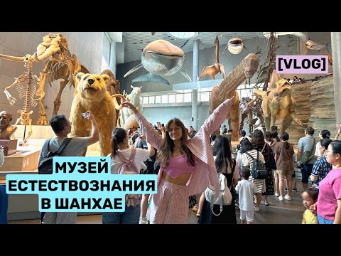 Видео: КУДА СХОДИТЬ В ШАНХАЕ? IKEA, БУРГЕРЫ, МУЗЕЙ #жизньвкитае #китай #шанхай #влог