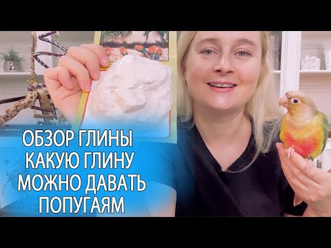 Видео: ГЛИНА ДЛЯ ПОПУГАЕВ | КАКУЮ ГЛИНУ МОЖНО ДАВАТЬ ПОПУГАЯМ А КАКУЮ НЕТ