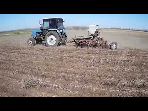 Видео: Посев просо красного сеялкой сзс 2 1 no till