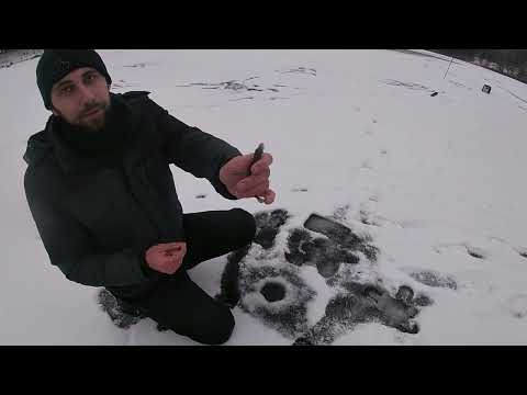 Видео: Зимова рибалка 2023р  Зимовий йорш та окунь  Тонка крига  Зачароване озеро