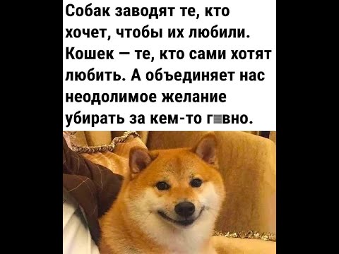 Видео: 😄🔴 СТРАШННО  СМЕШНЫЕ  ШУТОЧКИ  и  ПОЖЕЛАНИЯ 🔴 Перезапуск #014 Только для самых умных