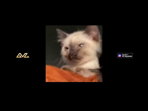 Видео: Минаева - Ключи