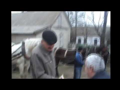 Видео: Тодурувден във Валя-Пержей