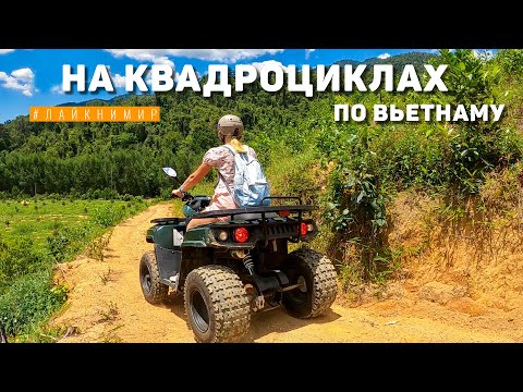 Видео: Вьетнам. На квадроциклах по джунглям в Нячанге. ЛУЧШАЯ ОТДЫХ! Дикие джунгли, водопады. Вьетнам 2022