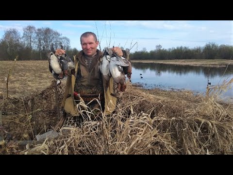 Видео: ВЕСНОВКА 2021 \ ЖИЗНЬ В ПАЛАТКЕ "АЛТАЙ" \ ОХОТА НА УТОК