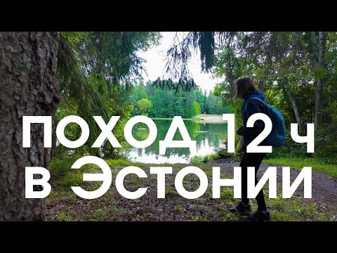 Видео: Сходила в поход из Таллинна в Аэгвиду: костёр в лесу, грибы  (влог)