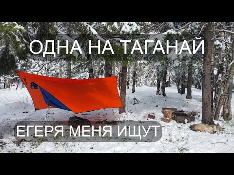 Видео: ДИКАРЁМ на ТАГАНАЙ с ГАМАКОМ и СОБАКОЙ. ПОЧЕМУ МЕНЯ ИЩУТ ЕГЕРЯ? Часть 1.