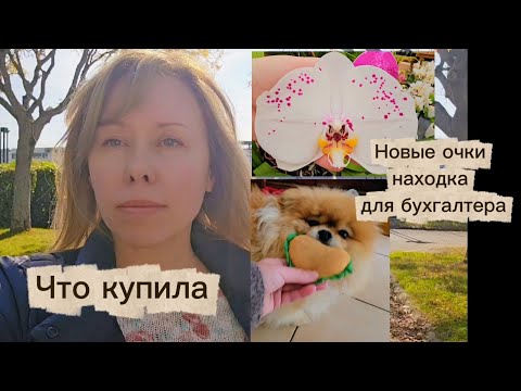 Видео: На РАБОТУ К БУХГАЛТЕРУ/ НОВЫЕ ОЧКИ/ САДОВЫЙ МАГАЗИН ФРАНЦИИ ЧТО МОЖНО КУПИТЬ В ОКТЯБРЕ