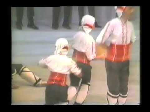 Видео: АНСАМБЪЛ ДОБРУДЖАНЧЕ С ХУД.  Р-Л ИВАН ИВАНОВ (2)