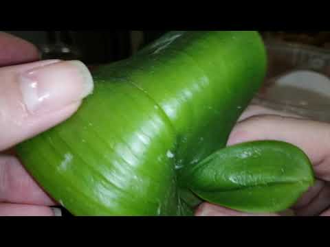 Видео: От фузариоза орхидей, применяю Тетрациклин.