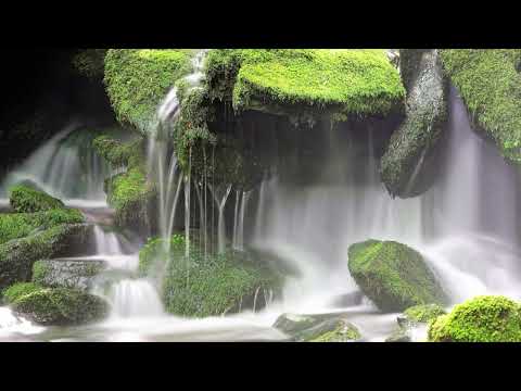 Видео: Киамет Зену