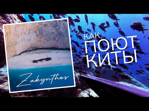 Видео: Закинтос в сентябре. Подводная охота в Греции. Я СЛЫШАЛ КИТОВ!