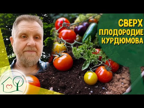 Видео: Сверхплодородие и природное плодородие - Николай Курдюмов