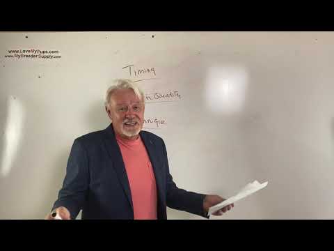 Видео: Проблемы с фертильностью у самок собак. Диагностика и лечение