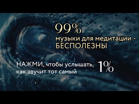 Видео: MALEA. Киты и 432 Гц живое взаимодействие с древнейшими существами океана и природным резонансом.