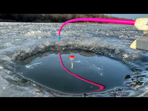 Видео: Не успел опустить вторую удочку , как поплавок сразу всплыл. Первый лёд 2024-2025. Зимняя рыбалка