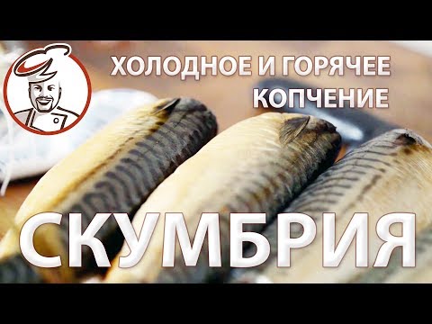 Видео: СКУМБРИЯ - холодное или горячее копчение?