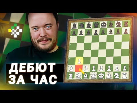 Видео: Дебют Нимцовича — Ларсена