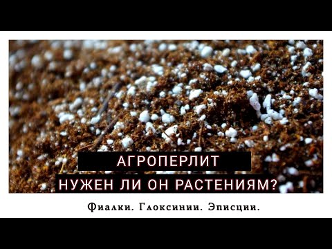Видео: Перлит/Нужен ли он растениям?/#жизньрастений