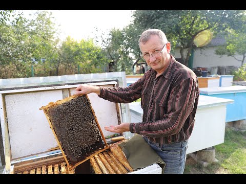 Видео: Как правильно формируется зимний клуб пчел при закрытых верхних летках