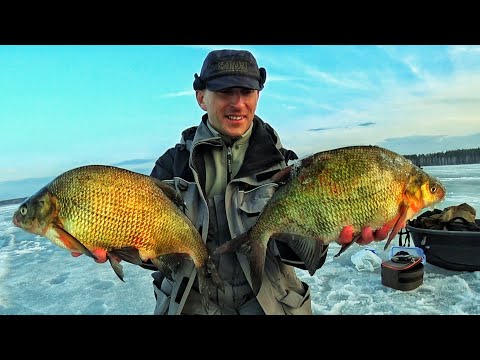Видео: СЕЗОН ТРОФЕЕВ. БЕЗМОТЫЛКА РУЛИТ 2025-26