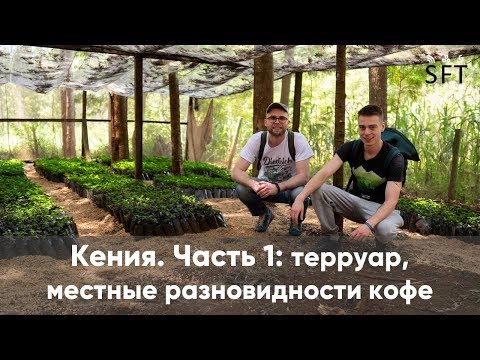 Видео: Кения. Часть 1: терруар, местные разновидности кофе