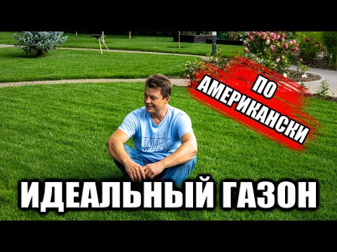 Видео: Правильный уход за газоном — стрижка и подкормка для идеальной травы!