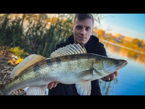 Видео: Результативний СТРІТФІШИНГ у Вінниці! Як завжди ловити багато?