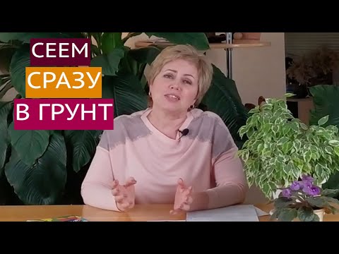 Видео: КАКИЕ ЦВЕТЫ ПОСЕЯТЬ В ОТКРЫТЫЙ ГРУНТ?