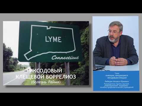 Видео: Лекция от экспертов CMD №1: Инфекции, передающиеся иксодовыми клещами