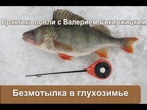 Видео: Безмотылка в глухозимье. Практика ловли с Валерием Сикиржицким.