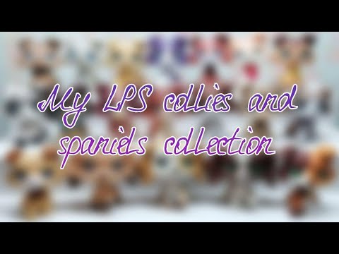Видео: |LPS|: моя коллекция колли и кокеров | My LPS collies and cocker spaniels collection
