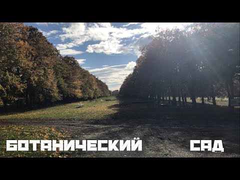 Видео: Ботанический сад