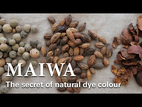 Видео: Введение в протравы и танины