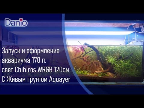 Видео: Запуск и оформление аквариума с Живым грунтом Aquayer и светильником Chihiros WRGB