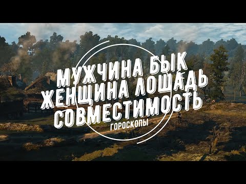 Видео: Совместимость мужчина Бык и женщина Лошадь