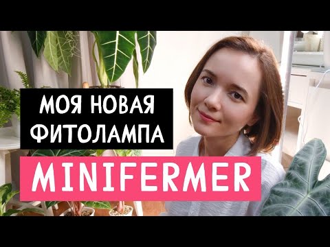 Видео: Новая вертикальная фитолампа Minifermer #распаковка #обзор #растения #комнатныерастения #интерьер