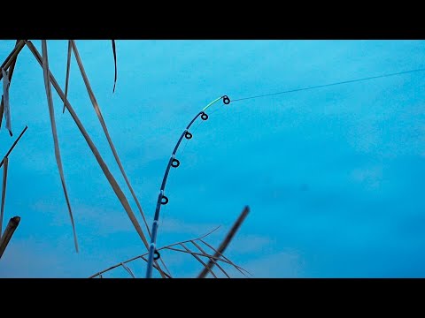 Видео: Весенний карасик просыпается! Ловля карася на фидер!