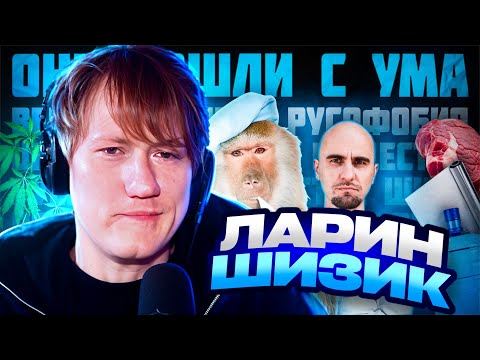 Видео: ДК СМОТРИТ СОШЛИ С УМА И ПОТЕРЯЛИ ВСЁ / БЛОГЕРСКАЯ ШИЗА (Ларин, ЛиКей) / БАТЛЫ ЛАРИНА