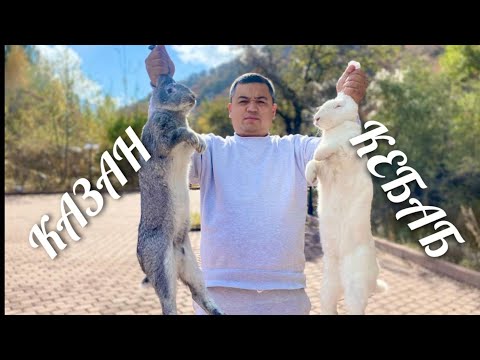 Видео: СЕРЫЙ ИЛИ БЕЛЫЙ / КАЗАН КЕБАБ ИЗ КРОЛИКА / НЕЖНЕЙШИЙ КРОЛИК В КАЗАНЕ НА КОСтре
