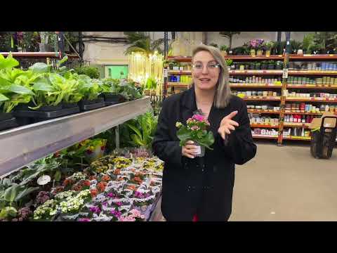 Видео: Как Увеличить средний чек во флористике: ТОП Сопутствующих Товаров