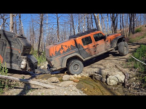 Видео: Путешествие по Монтане: шоссе Beartooth и горы Прайор