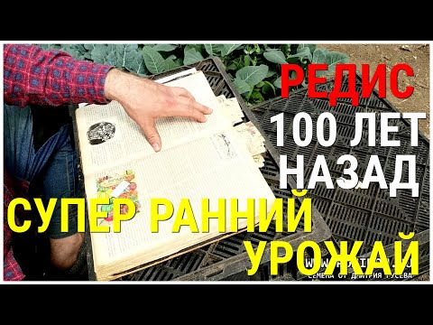 Видео: Сколько зарабатывали на выращивании Редиса 100 лет назад. Как выращивали к Пасхе. Статья 1912 год