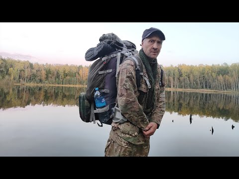 Видео: Мещёра - Поход на озеро Баженовка / Часть 2