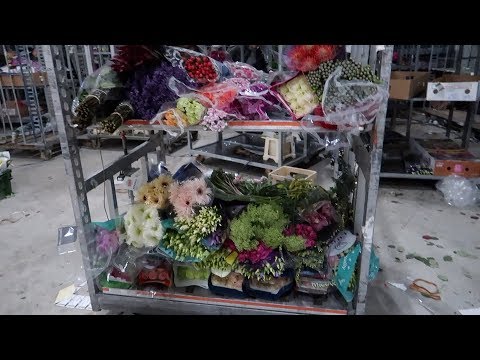 Видео: VLOG: Приехали ЦВЕТЫ к 8 МАРТА: мой ЗАКАЗ  //2-3 марта 2020 🌿🌸 🌿