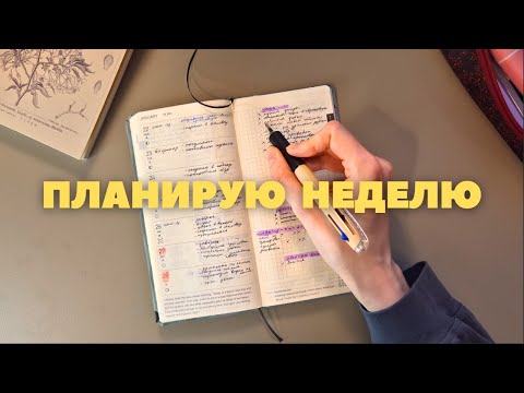Видео: Планируй со мной в Hobonichi Weeks